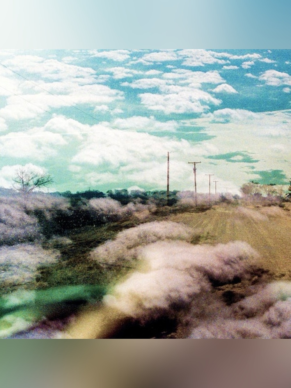 The World Is A Beautiful Place and I’m No Longer Afraid To Die Vinyl Record